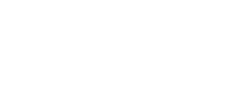 Engineering Student Council